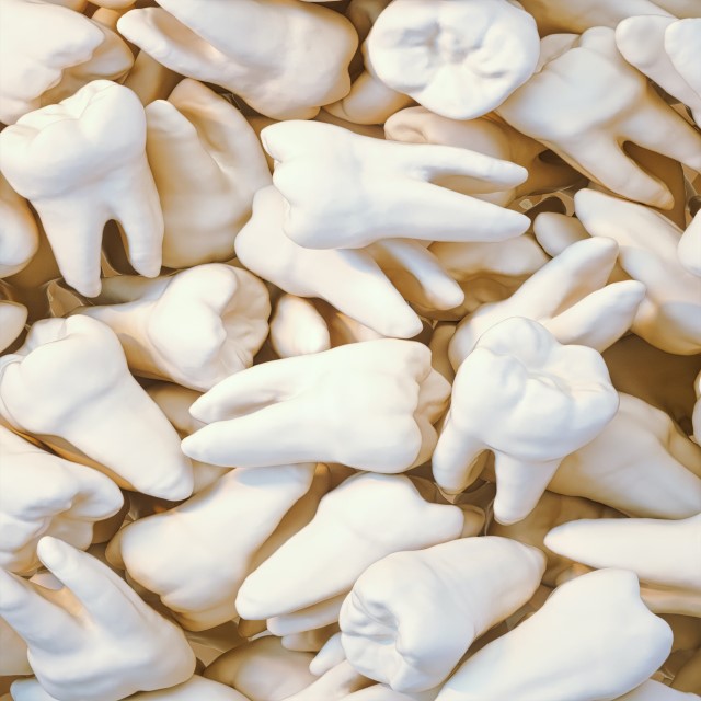 Kev Bation 2FwxoOj1eO8 Unsplash.jpg
